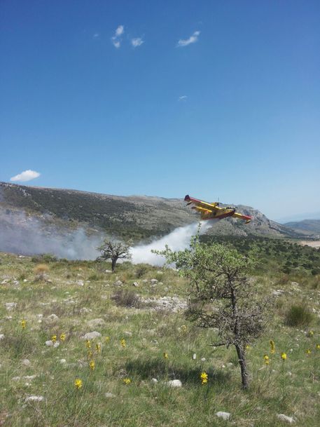 incendio Provinciale Cassano-Vigne e la Cassano-Civita