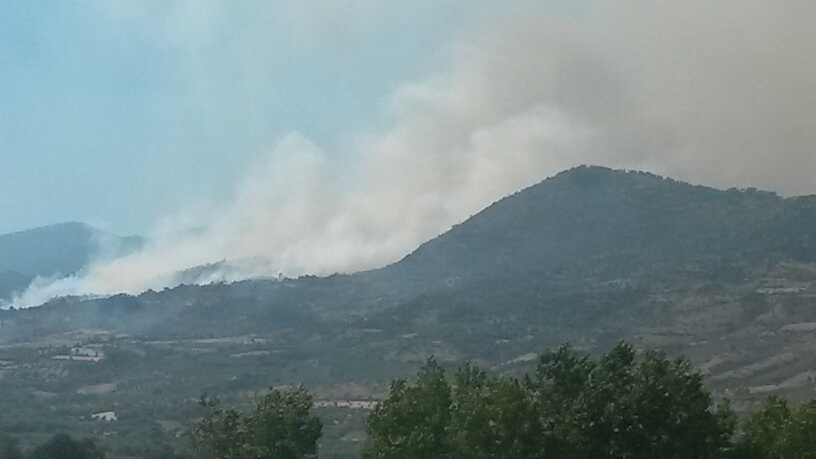 incendio doloso trebisacce
