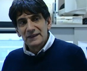 allerta meteo