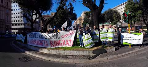 costituzione