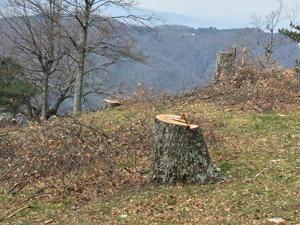 rossano