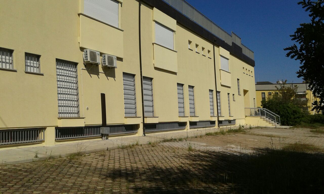 vigili