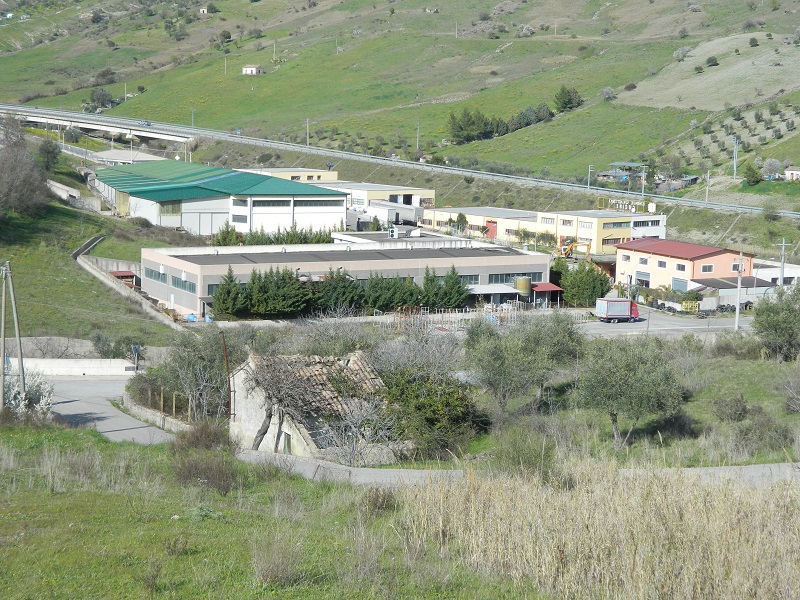 oriolo