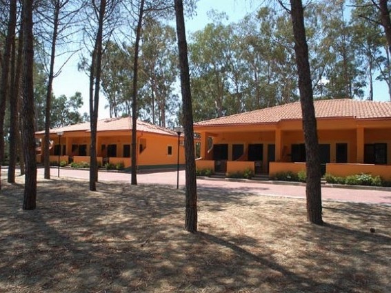 ricota grande