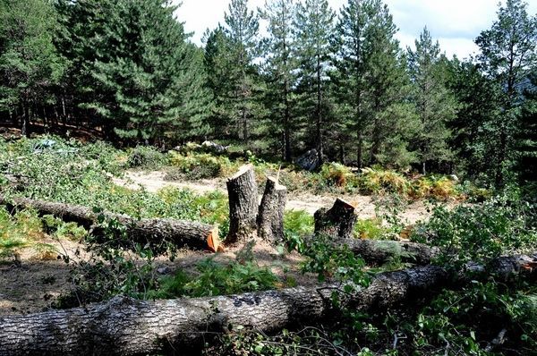 incendi