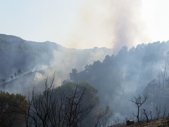 incendi