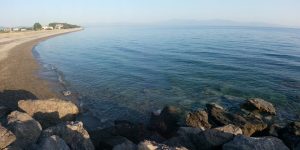 mare