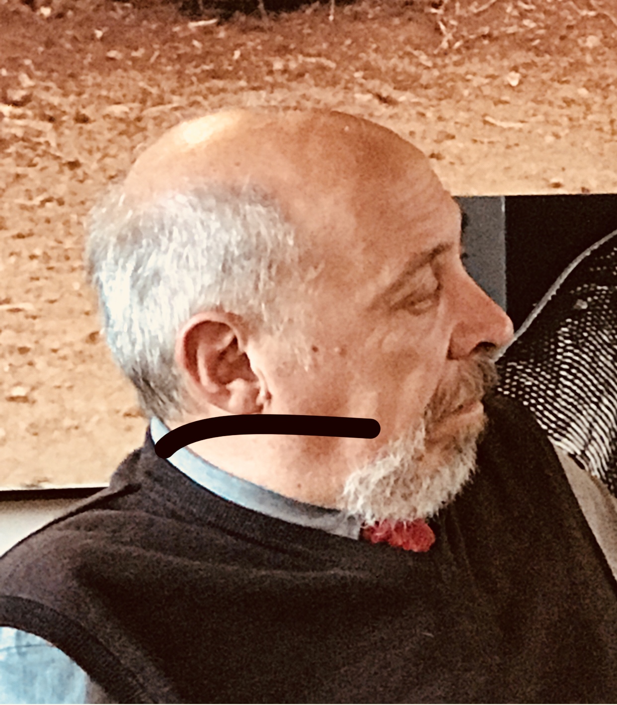 editoriale
