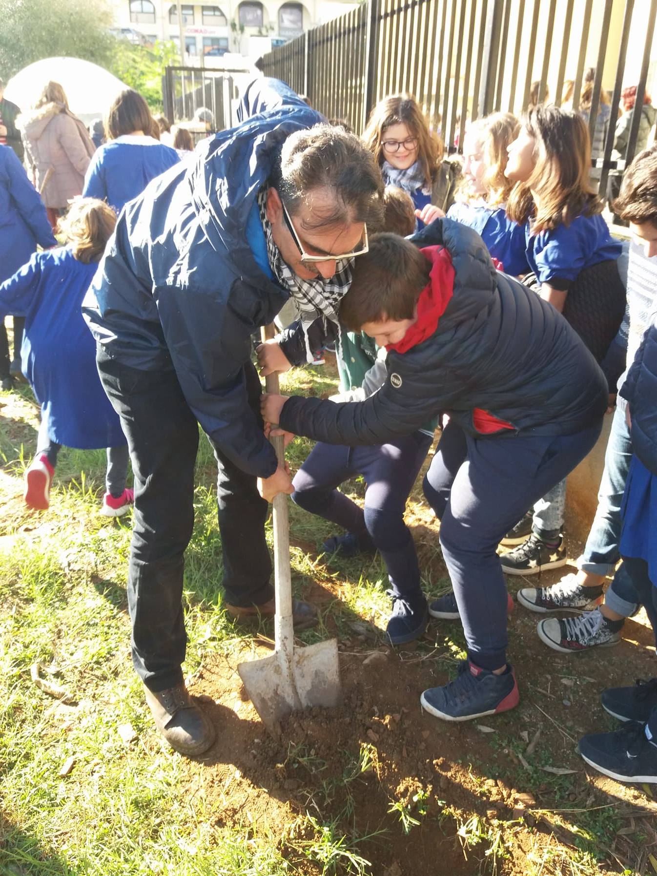 Alberi