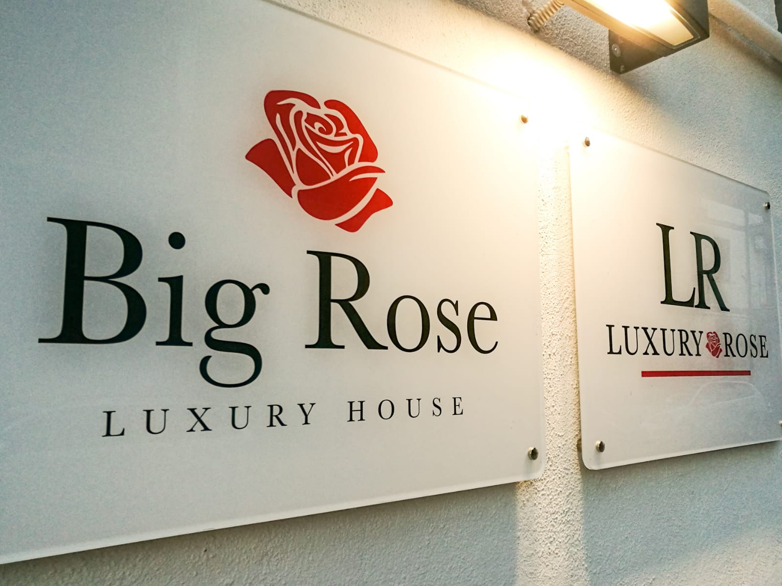 big rose