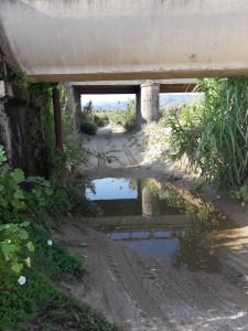 alluvione