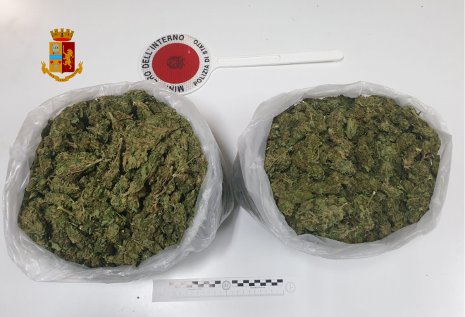 MARIJUANA polizia droga