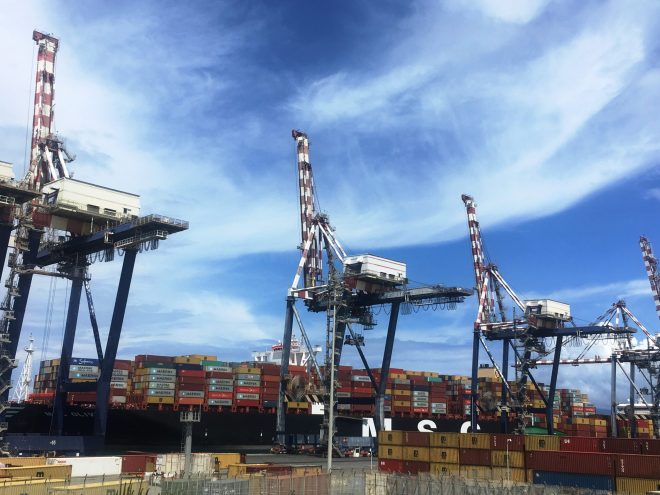 porto gioia container