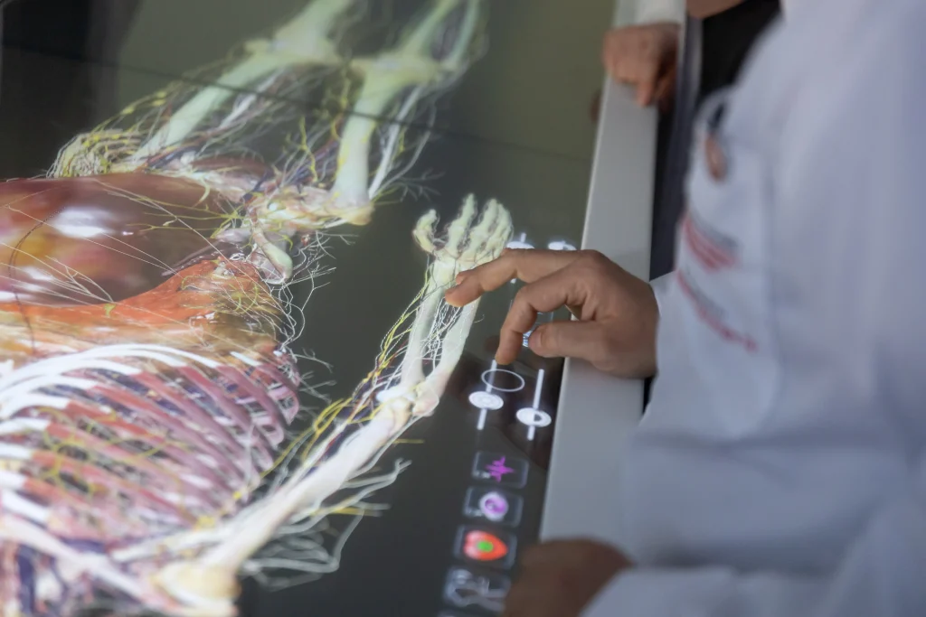 radiografia medico